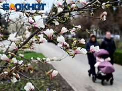 Пасмурно и дождливо будет в среду в Краснодаре