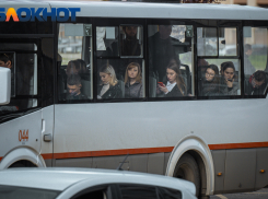 «Краснодар любят и ненавидят»: как разрушается сказка приезжих 
