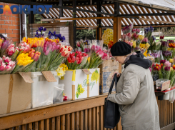 Важное в Краснодаре 13 марта: изобретение интернета, третий день Масленицы, День умных и привлекательных