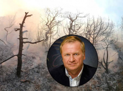Ущерб в 988 млн: директора заповедника «Утриш» Кондратьева осудят за пожар и мошенничество