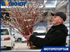 В Краснодаре активизировалась торговля вербой: показываем цены и ассортимент
