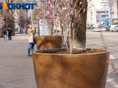 Снимаем теплые вещи: в Краснодаре ожидается потепление