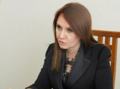 «Длинные каникулы – традиция»: депутат ГД из Краснодарского края о сокращении новогодних выходных