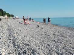 Купающиеся в Чёрном море туристы удивили краснодарку 