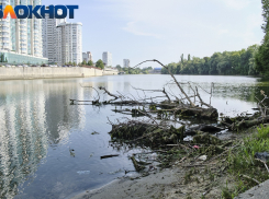 Что потребовали краснодарцы у властей в 2023 году: итоги публичных слушаний по бюджету