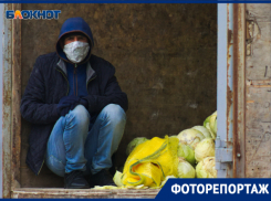 В каких условиях работает тот самый рынок депутата «Единой России» в Краснодаре