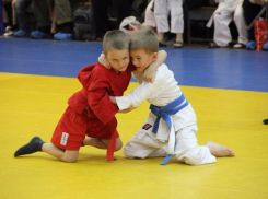 Самбо появится во всех школах Кубани к 2021 году