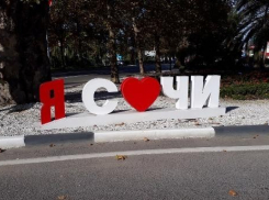 Сочи стал популярным местом отдыха у москвичей