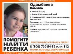 Третьи сутки в Краснодарском крае ищут пропавшую 9-летнюю Камилу 