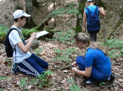 Сотрудники Кавказского заповедника не отмечают День животных