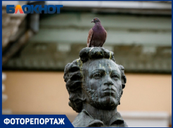 Очереди за чебуреками, Пушкин в помёте и голодные люди: в Краснодаре прошли главные масленичные гулянья