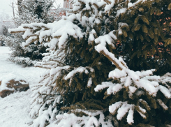 В среду на Кубани обещают снегопад, гололедицу и сильный ветер
