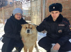 Добрый полицейский нашел и вернул потерявшуюся чау-чау пенсионерке в Армавире