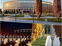 Парк Галицкого вновь преобразился: светящиеся пингвины и загадочные растения