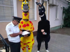 В Анапе жираф и единорог вели нечестный бизнес