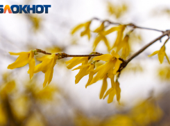 Актуальный Краснодар 10 апреля: великий понедельник, очень даже тепло, пребываем в неплохом настроении и не сквернословим