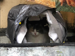 На Краснодарский край обрушатся мощные ливни и похолодает