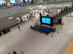 В торговом центре Екатеринбурга убрали пятиметровую надувную прямую кишку