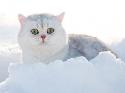 В Краснодаре прохладно, но без осадков