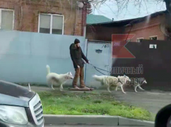 Краснодарец придумал способ передвижения по предновогодним пробкам 