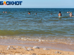Ядовитые и колючие: каких опасных обитателей можно встретить в Азовском море 