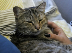  Гололед и небольшие осадки прогнозируют на Кубани 