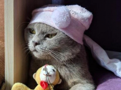 Еще одно экстренное предупреждение объявили в Краснодарском крае