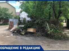 Из-за свалки в домах у краснодарцев завелись крысы 