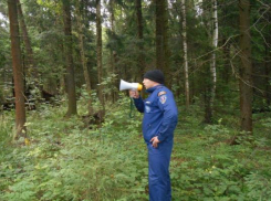 Загулявшего молодого человека домой вернули спасатели