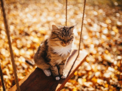 Выходные на Кубани начнутся с ясной погоды без осадков