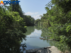 Квадрокоптеры, шлагбаумы, пункты контроля: краснодарцам запретили въезжать в лес на машинах