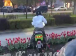 Краснодарка на электромопеде разворотила клумбы в центре города