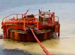 Глава Росприроднадзора потребует дисквалификации главы терминала из-за разлива нефти в Новороссийске