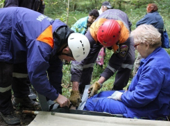 Жительница Сочи пошла за грибами и сломала ногу