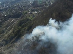 В Сочи за сутки несколько раз горел лес 