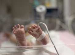 В лесу на Кубани нашли живого младенца