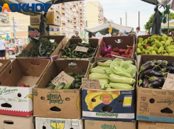 В Краснодаре овощи за неделю подорожали до 30%