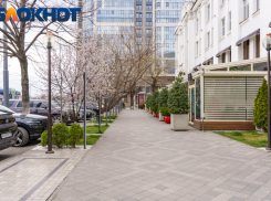 Главное в Краснодаре: мигрантов задерживают, население запугивают, туристы уезжают, у сына в Сочи на ночь увели мать, а «кубаноидов» назвали агрессивными