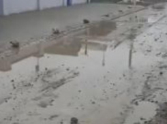 «Каждое утро я окунаюсь в дерьмо», - жительница станицы Благовещенская