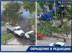 «К лету останется асфальт»: массовый спил деревьев взбудоражил краснодарцев
