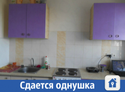 Уютная однушка сдается в Краснодаре