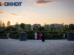 Жара не отступает от Краснодара 