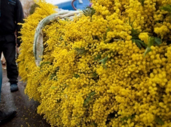 В Сочи за неделю доставили 125 тонн цветов из Абхазии 