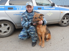 На Кубани служебная собака вычислила хулигана по запаху его «ароматного» сапога