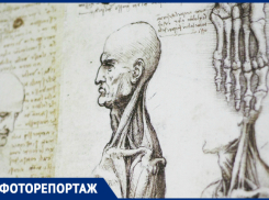 Культовые изобретения Да Винчи в Краснодаре в объективе фотографа