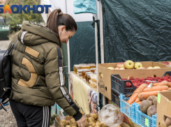 Рост цен на овощи в Краснодарском крае замедлился 