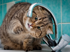 В Краснодаре научились быстрее устранять аварии в сети водоснабжения