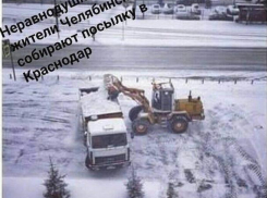 «Лютая» зима Краснодарского края привела к появлению цветов и грибов