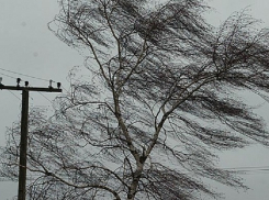 В Ейском районе объявили штормовое предупреждение 