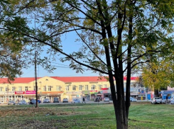 В Краснодаре подготовили особо охраняемую зону к благоустройству